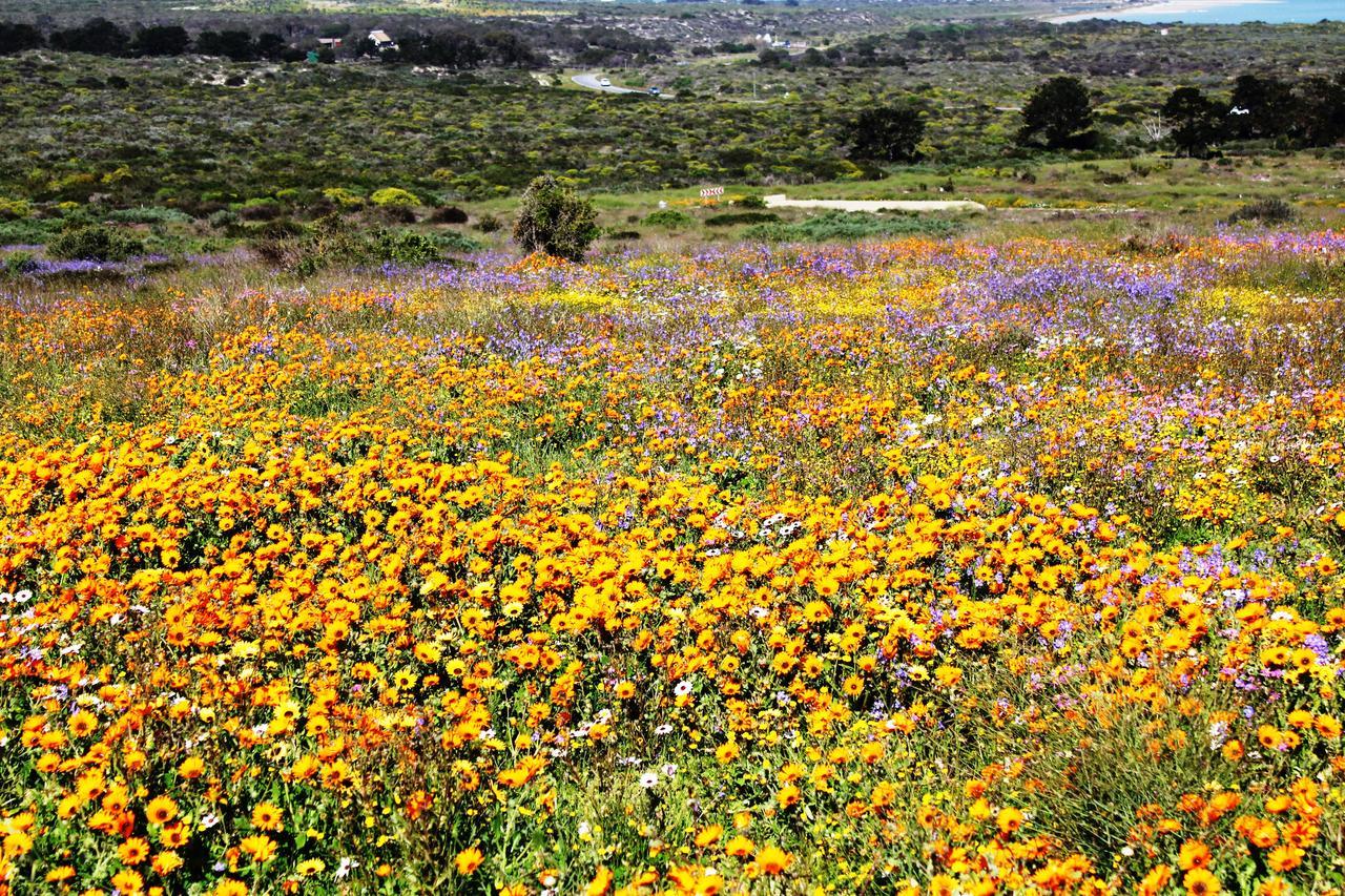 The Nook * Langebaan
